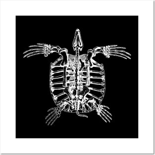 Turtle Skeleton Posters and Art